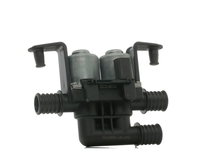 RIDEX 2073C0020 Valvola regolazione refrigerante BMW X5 (F15, F85) xDrive 30 d Diesel 277 CV 2018 prezzo