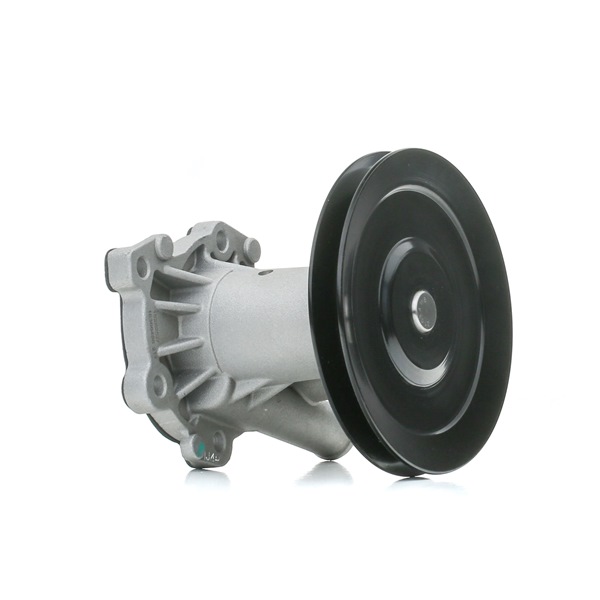 1260W0488 RIDEX 7701459820 Wasserpumpe