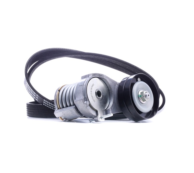 036145933H OE RIDEX V-Ribbed Belt Set 542R0647