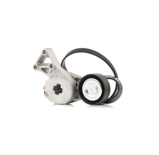 06F903137E OE STARK Jeu de courroies trapézoïdales à nervures SKRBS-1200648