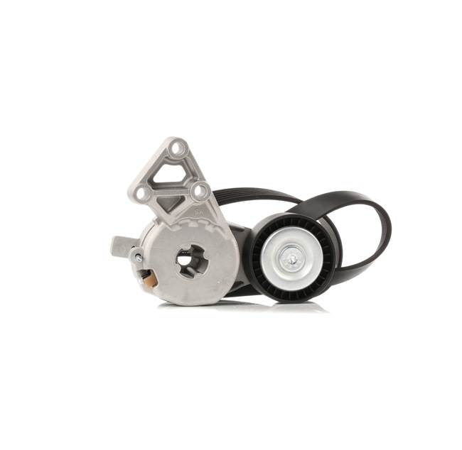 06F903137E OE RIDEX Jeu de courroies trapézoïdales à nervures 542R0649