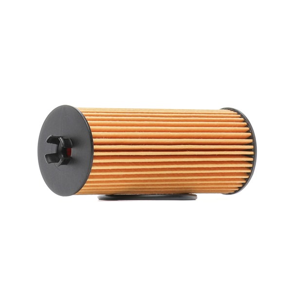 A133180061005 OE RIDEX Oljni filter 7O0325