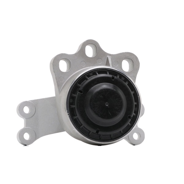 BK216F012AD OE RIDEX Variklio montavimas 247E0723