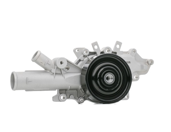 1260W0501 RIDEX 6132000701 Wasserpumpe