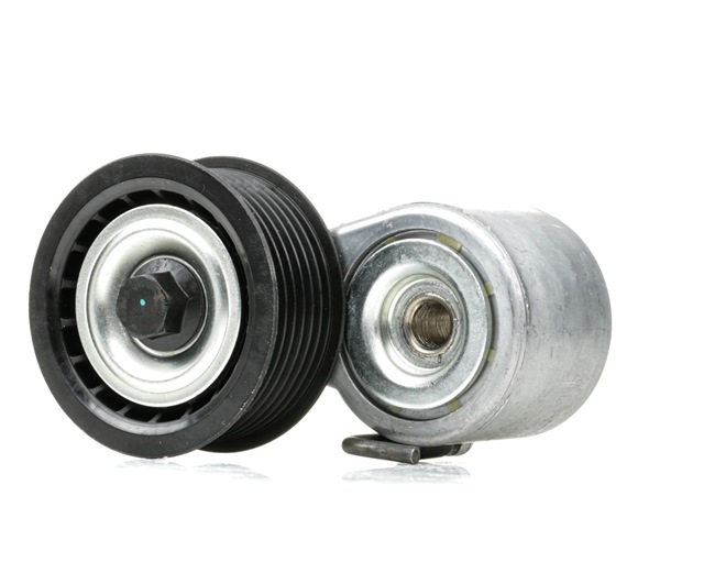 06E903133AB OE RIDEX Rullo tenditore cinghia Poly-V 310T0464