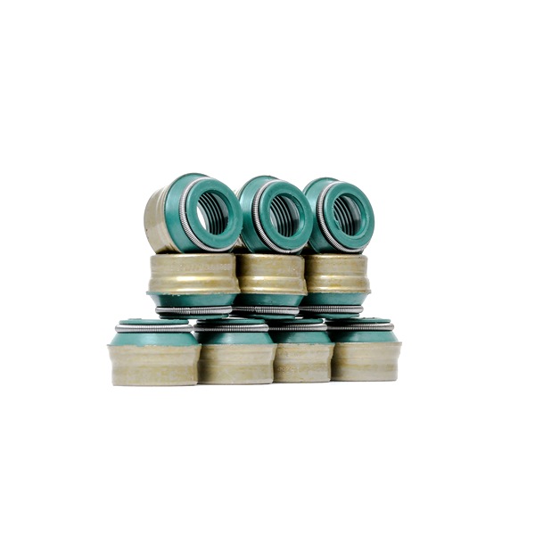 RIDEX 323S0029 Ventilschaftabdichtung VW Passat 32B 1.9 Benzin 115 PS 1981