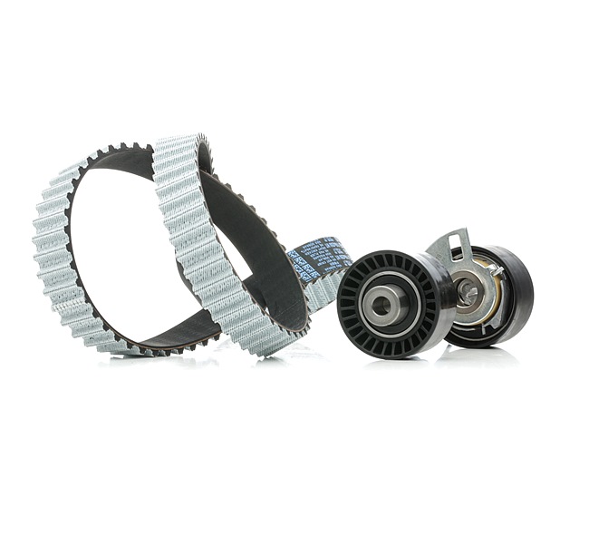 RIDEX DS7Q8A615AA Distributieriem set