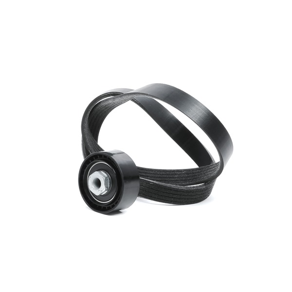 RIDEX 542R0659 Kileribberemssæt Renault Clio 2 1.2 16V (BB05, BB0W, BB11, BB27, BB2T, BB2U, BB2V, CB05,... Benzin 75 HK 2013 pris