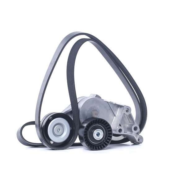 RIDEX 542R0660 V formos rumbuotas diržas, komplektas Skoda Octavia 1 Combi 1.9 SDI dyzelinas 68 AG 2003