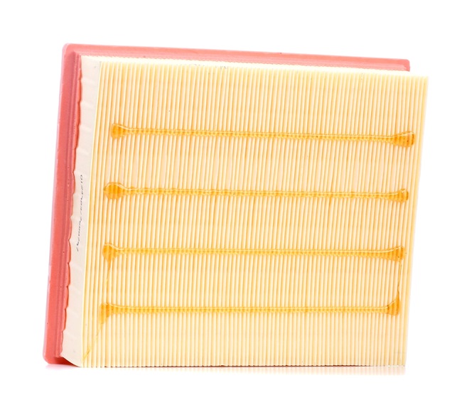 13721747280 OE TITAN Luftfilter 0000003.0000008