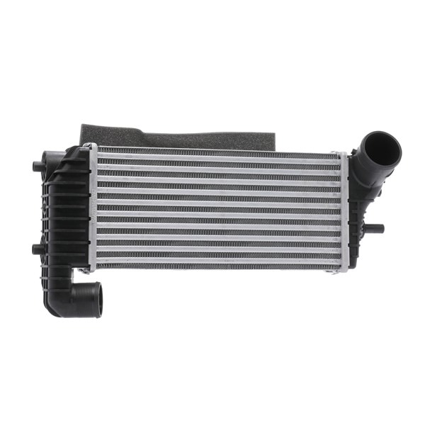 BV619L440CK OE RIDEX Интеркулер 468I0375