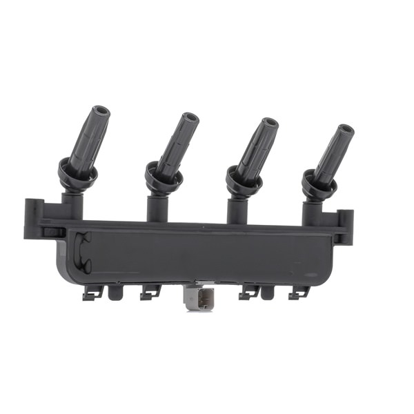 RIDEX 689C0413 Tændspole Peugeot 206 Hatchback 2A/C 1.4 Flex Benzin/Ethanol 82 HK 2006 pris