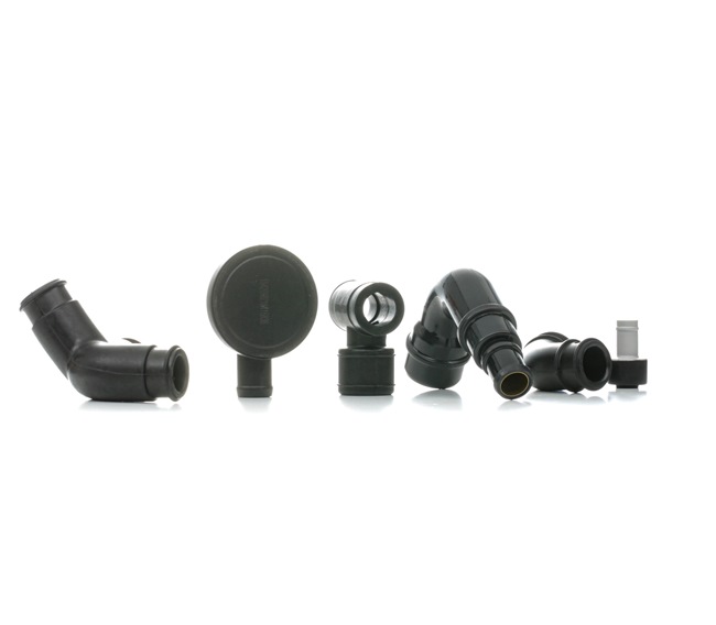 RIDEX 06A129101D Ventil, vevhusventilation