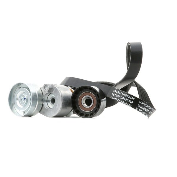 1192569T60 OE RIDEX Jeu de courroies trapézoïdales à nervures 542R0667