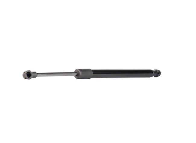 RIDEX 219G1005 Tailgate struts PEUGEOT Partner I Combispace 1.6 16V Petrol 109 hp 2007 price