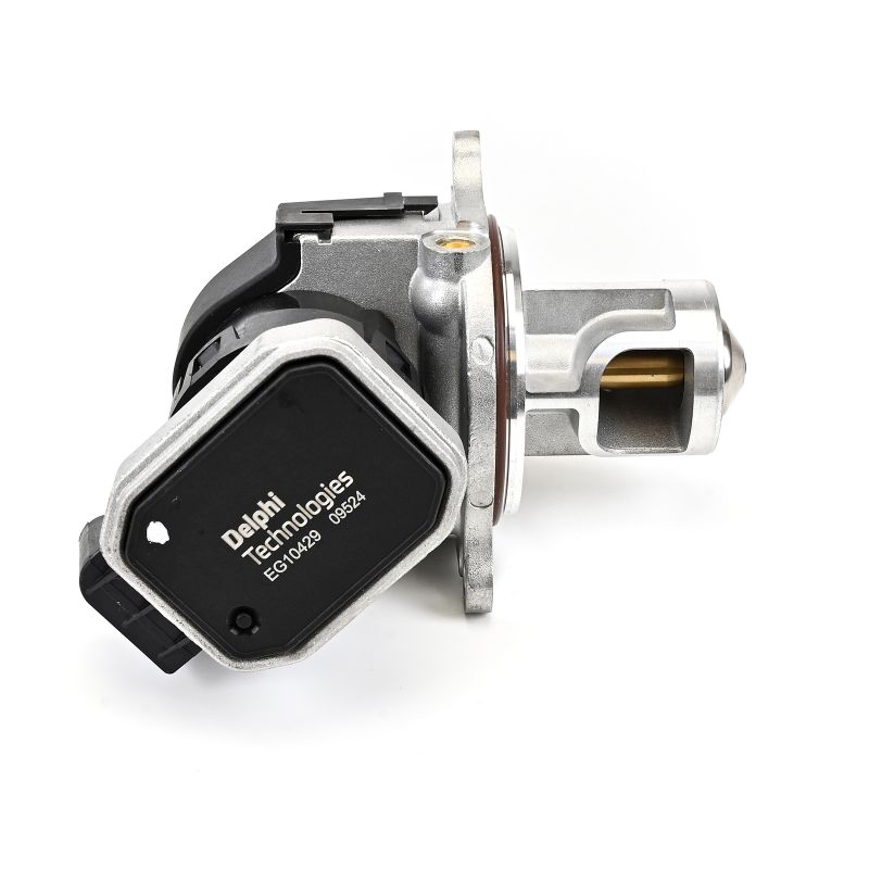 DELPHI EG10429-12B1 Mercedes W169 AGR Ventil original kosten