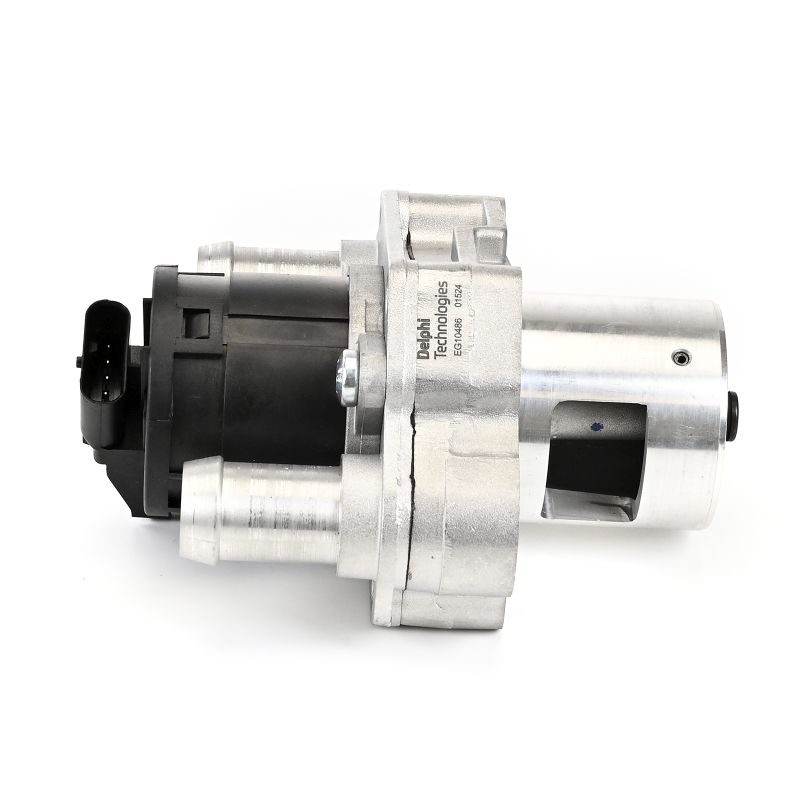DELPHI EG10486-12B1 AGR Ventil MERCEDES-BENZ G-Klasse kaufen