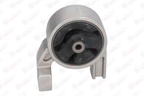 Soporte de motor 219301G000 BIRTH 53430