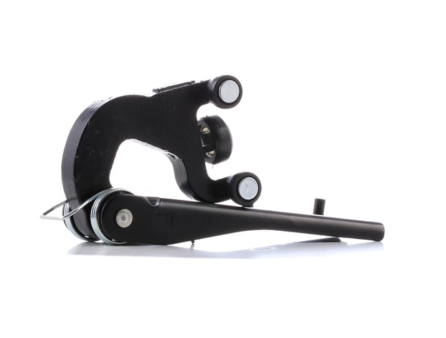 Portes composants Renault ESPACE 2004 6003000338P BLIC