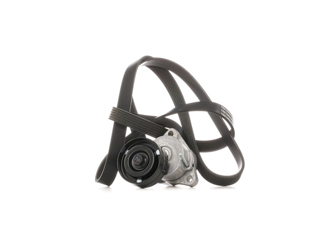 RIDEX 542R0671 Keilrippenriemensatz OPEL ANTARA 2.4 LPG 140 PS Benzin/Autogas (LPG) 2010