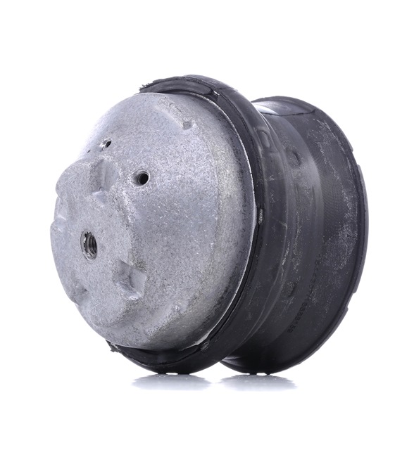RIDEX A2022403417 Motorkudde