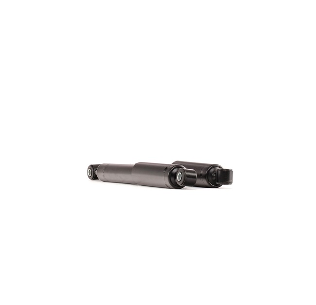 RIDEX 854S18040 Federbein SUZUKI Ignis I (FH) 1.3 4WD (RG413) Benzin 83 PS 2002