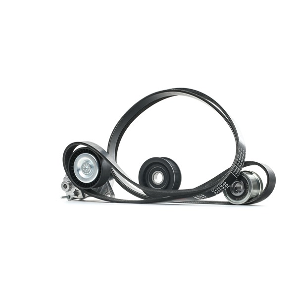RIDEX 542R0678 Poly v riem set Sprinter 3-T Flatbed Vrachtwagen/Chassis (W903) 316 CDI 4x4 (903.612, 903.613, 903.622, 903.623) Diesel 156 Pk 2006 kosten