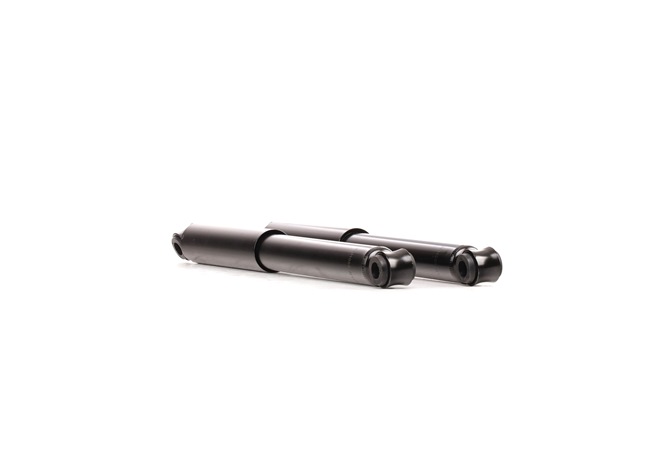 854S18054 RIDEX 485310K170 Stoßdämpfer