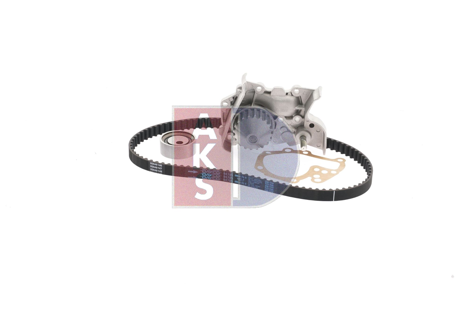 AKS DASIS 570346N Vandens siurblio ir paskirstymo diržo komplektas RENAULT MEGANE 1 (BA0/1) 1.4 e benzinas 75 AG 2001