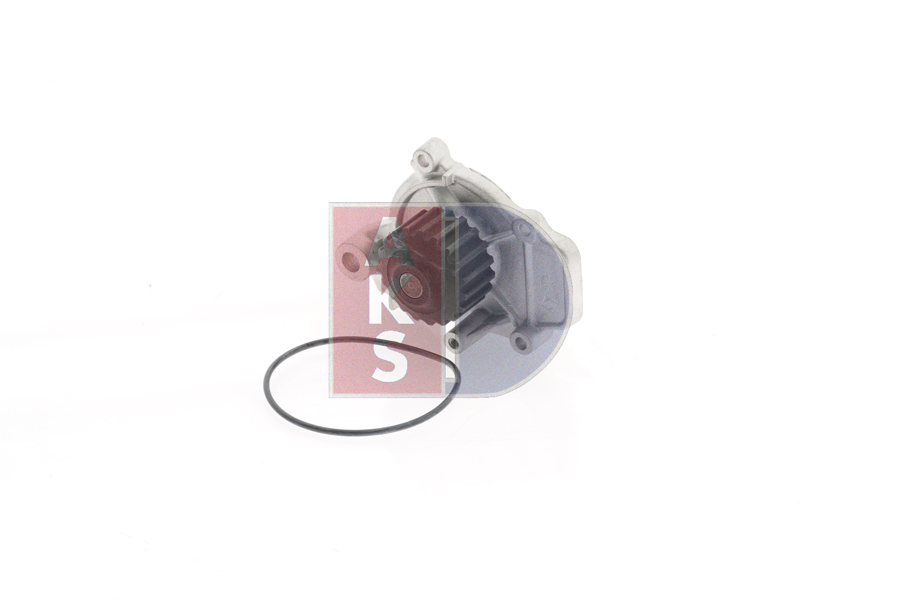 19200P1GE02 OE AKS DASIS Pompa acqua 570378N