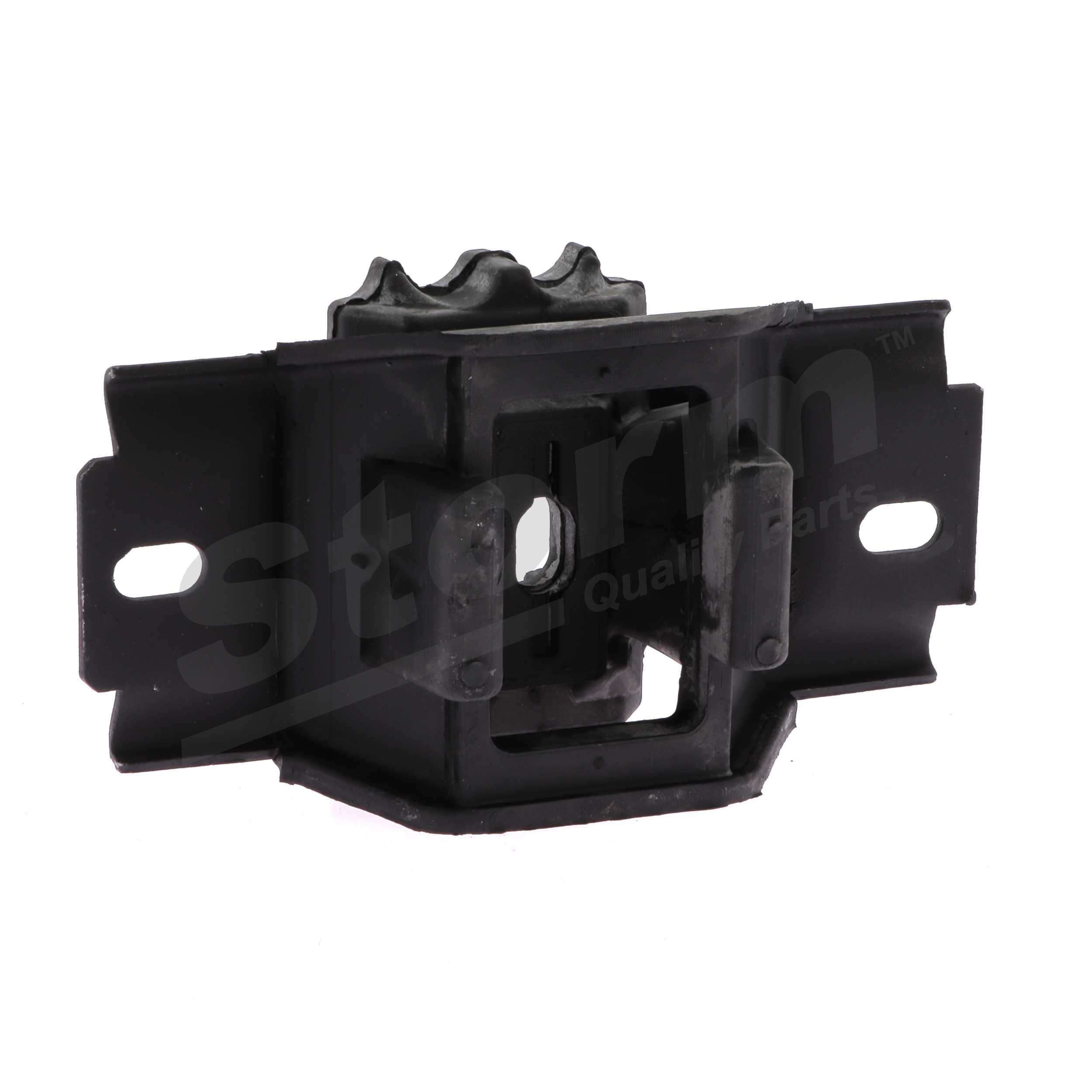 1141198 OE STORM QUALITY PARTS Variklio montavimas 4851