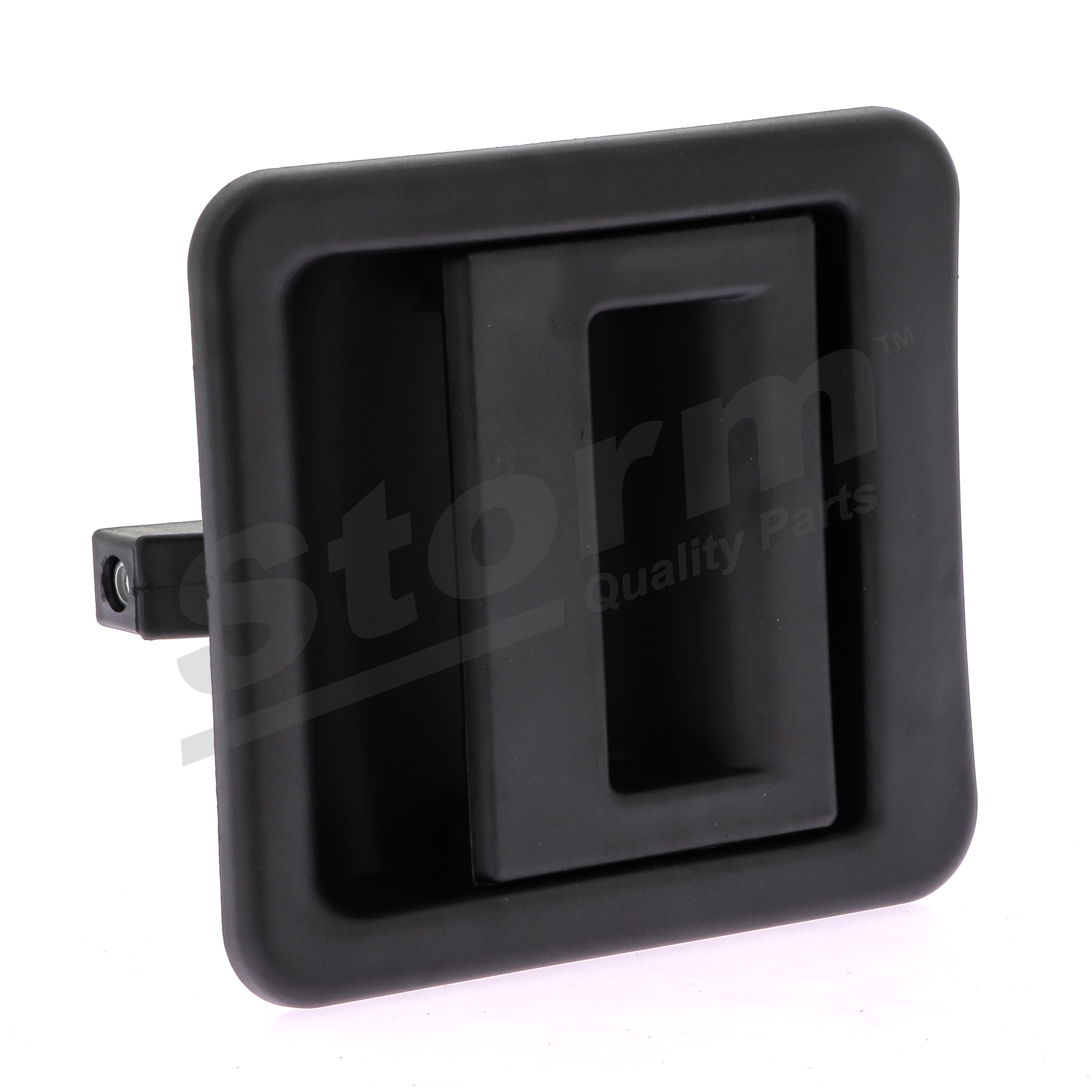 1301418808 OE STORM QUALITY PARTS Pega de porta 79925