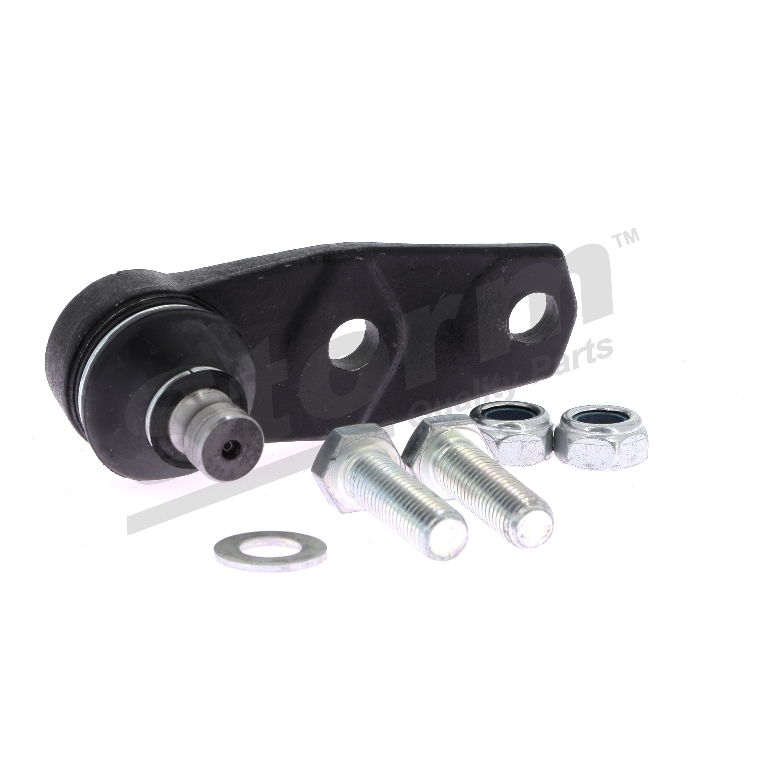 7701461077 OE STORM QUALITY PARTS Šarnyras 83782