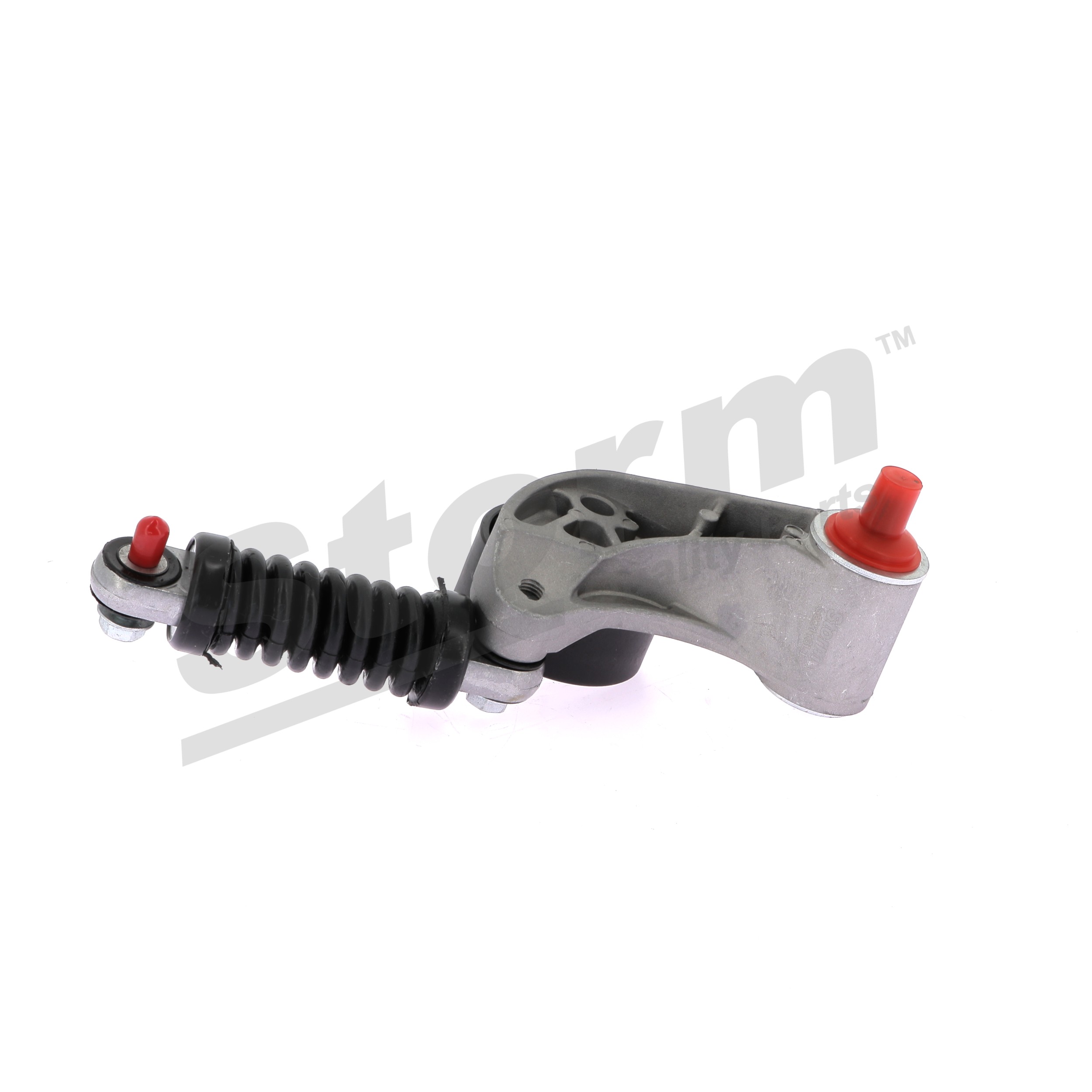 STORM QUALITY PARTS 88028 Esticador da correia do alternador RENAULT Megane Scenic (JA) 1.9 dT (JA0Y) Diesel 94 cv 1998 preço