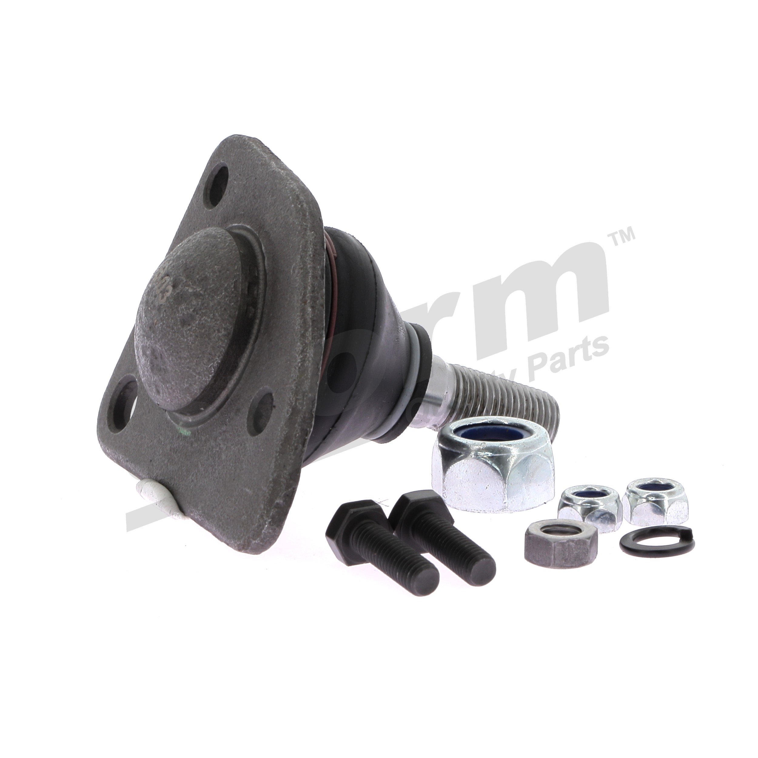 STORM QUALITY PARTS 7701461161 Fuseekogel
