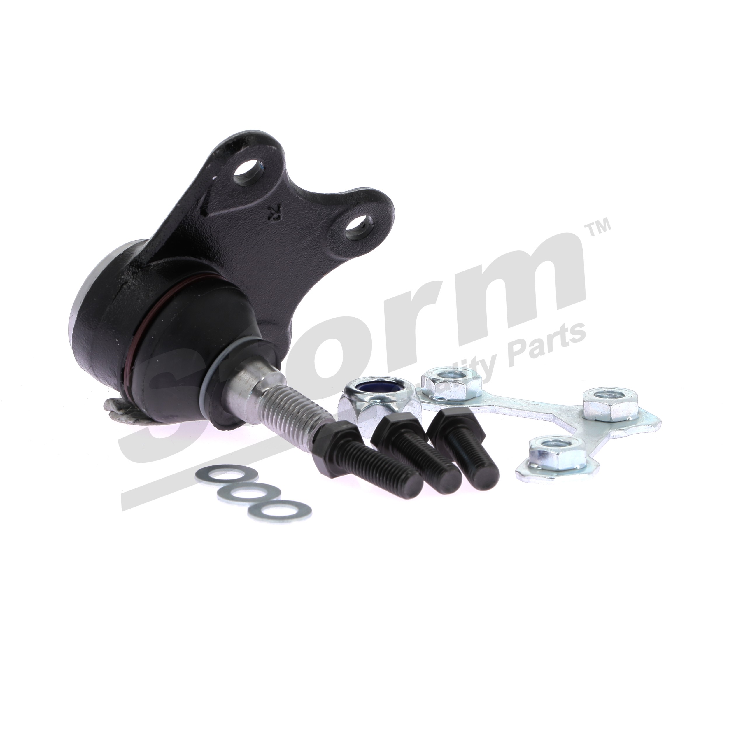 5Z0407366C OE STORM QUALITY PARTS Šarnyras 90293