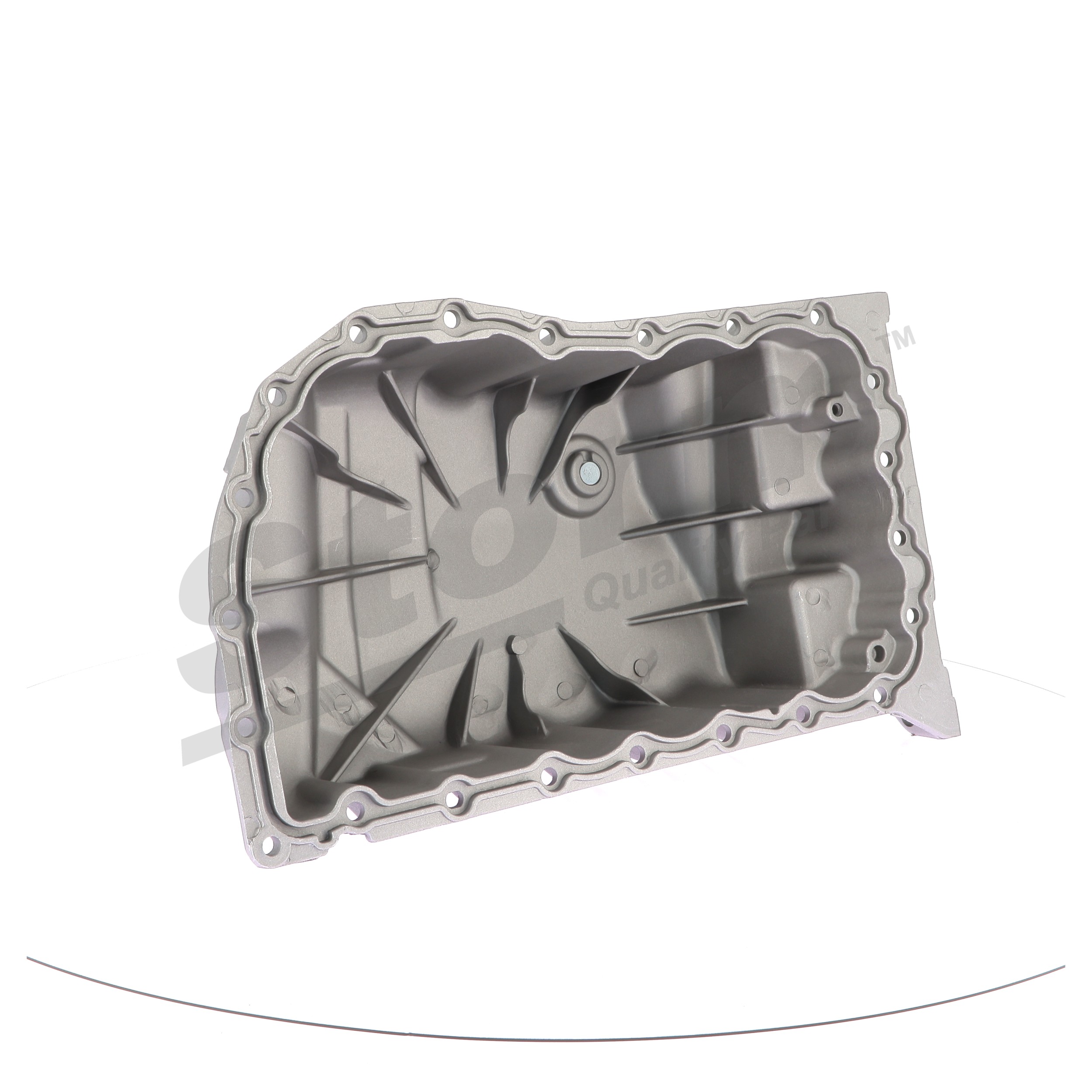 7703075348S1 OE STORM QUALITY PARTS Carter d'huile 999006
