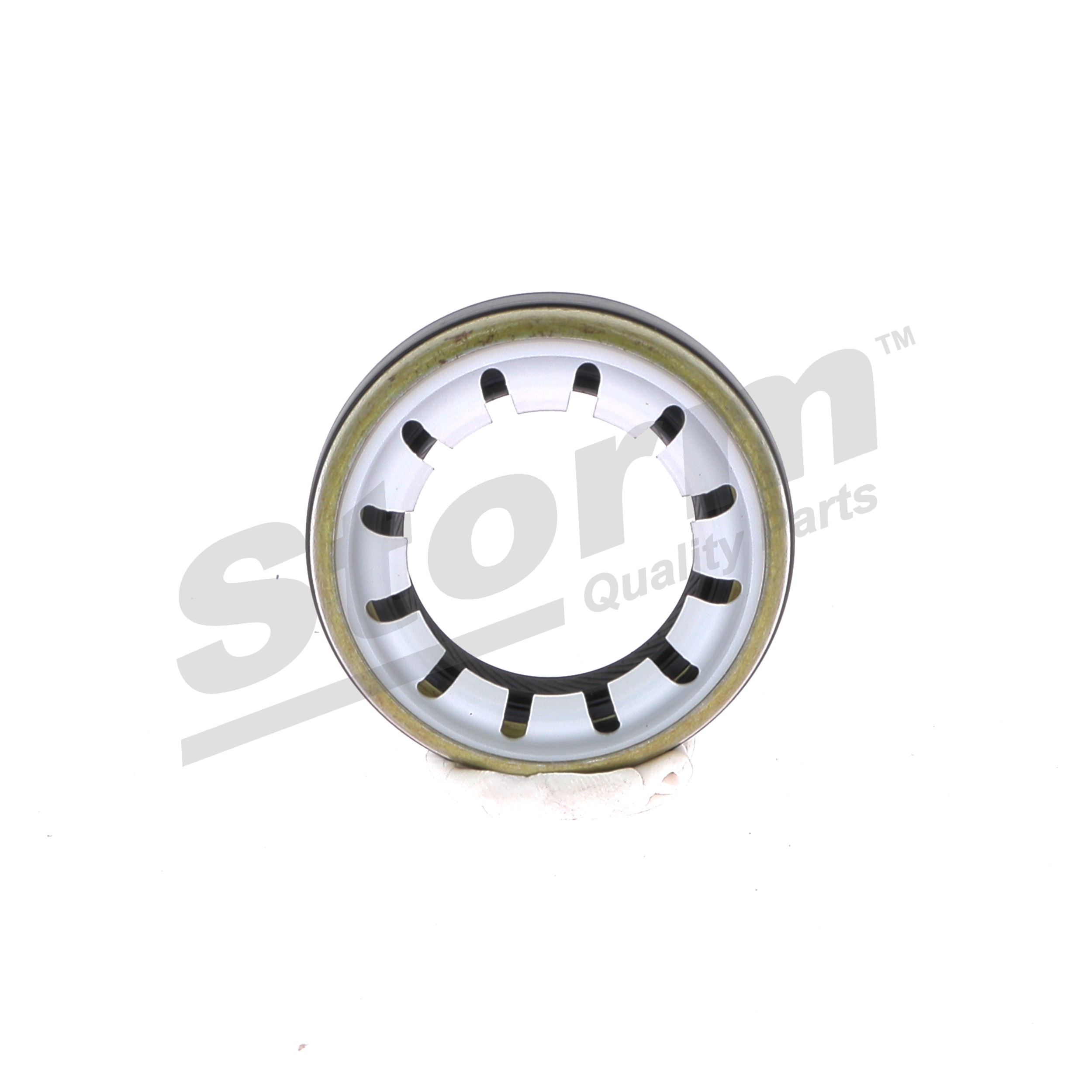STORM QUALITY PARTS 99913 Joint SPI différentiel FIAT Scudo I Break (220) 1.9 TD Diesel 92 CV 2002