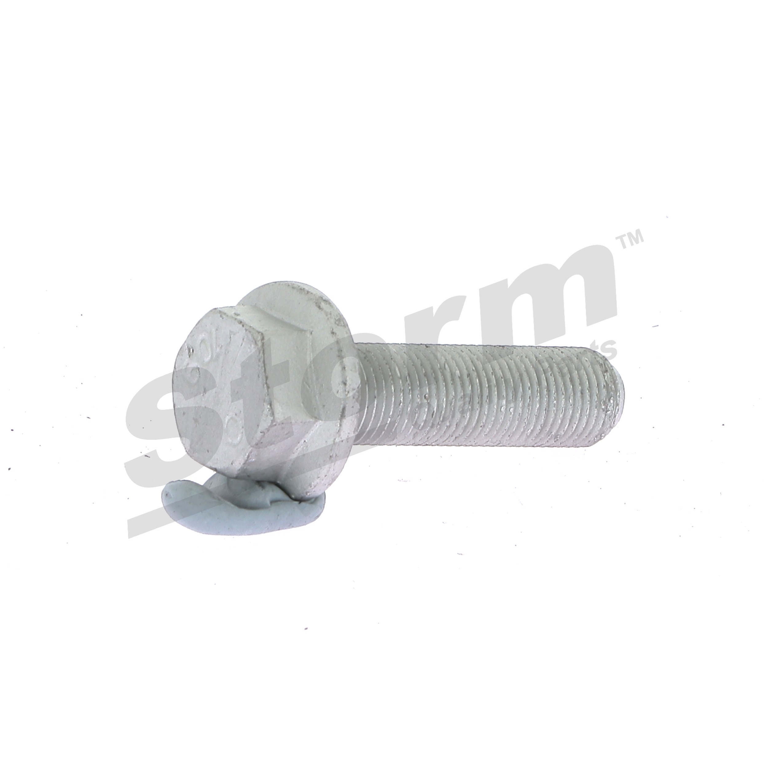 STORM QUALITY PARTS 99995KIT Skriemulio varžtas RENAULT Scénic 1 (JA0/1_, FA0_) 1.9 dCi dyzelinas 102 AG 2001