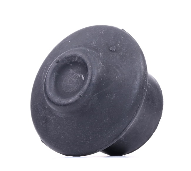 REINHOCH RH11-0015 AUDI 100 Motorfeste pris