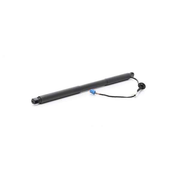 219G1036 RIDEX 1668900430 Heckklappendämpfer