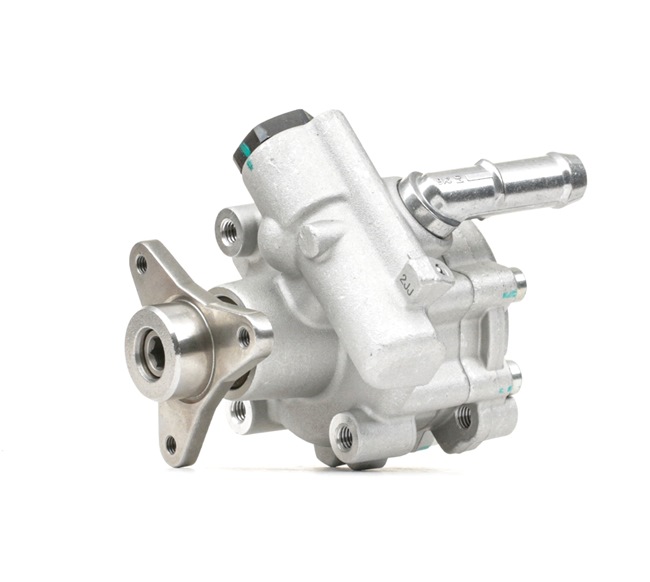 491101050R OE STARK Pompe de direction assistée SKHP-0540316