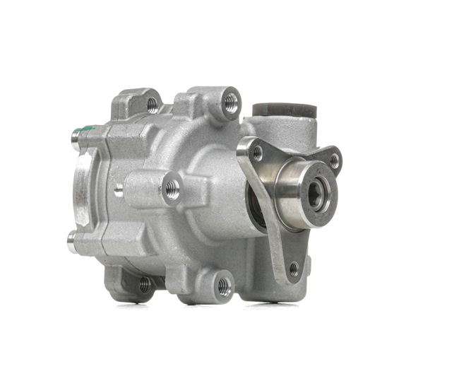 491101050R OE RIDEX Pompe de direction assistée 12H0316