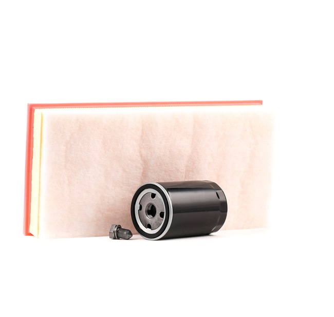 RIDEX 4055F2325 Elemento de filtro VW Bora Variant (1J6) 1.8 T Gasolina 150 cv 2001 preço