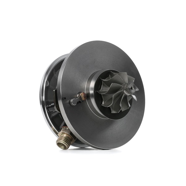 HGR03G253014F OE RIDEX Cartouche turbo 4973C0133