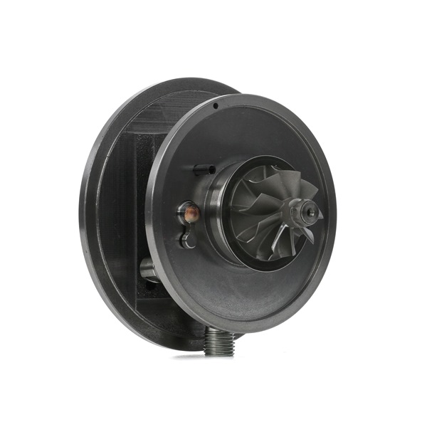 4973C0134 RIDEX Turbo SKODA SUPERB