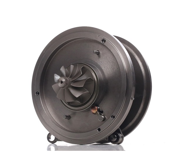 4973C0136 RIDEX Turbo FORD TRANSIT CUSTOM
