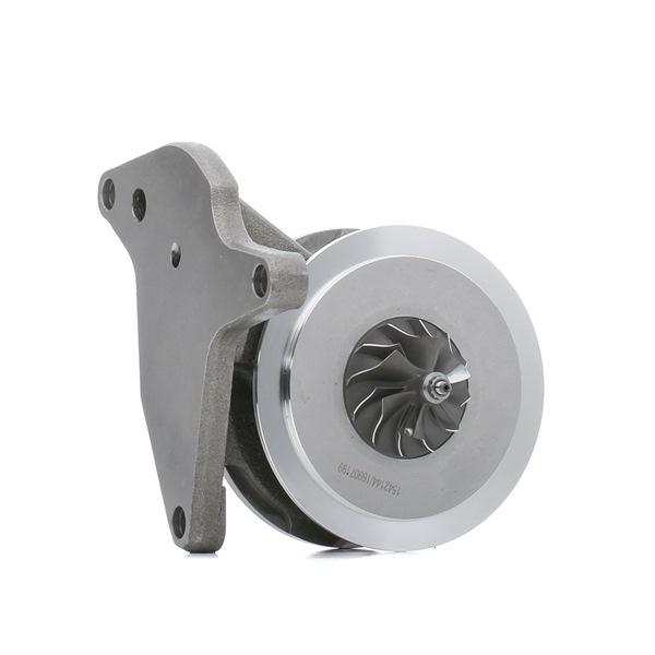 070145701NV OE RIDEX CHRA turbo 4973C0143