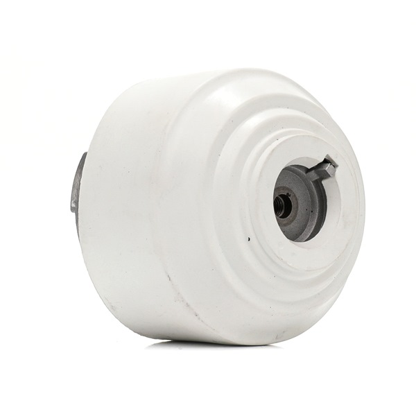 A2202400717 OE RIDEX Supporto motore 247E0755