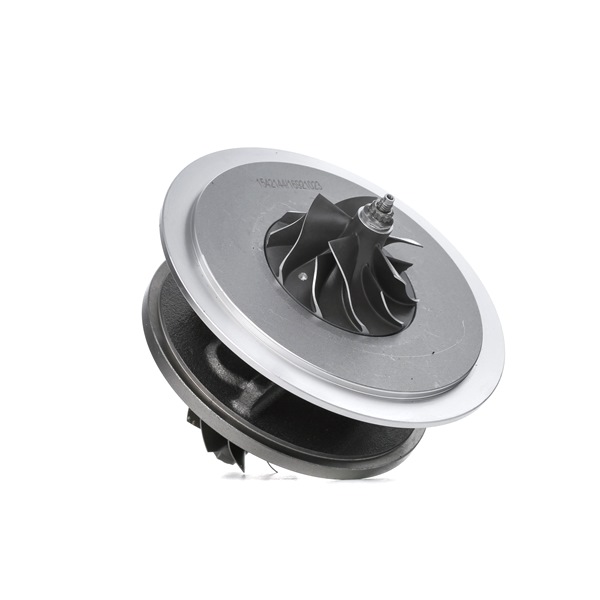Cartucho CHRA RIDEX 4973C0175 adequados para RENAULT, BMW, VW, MERCEDES-BENZ, PEUGEOT barato